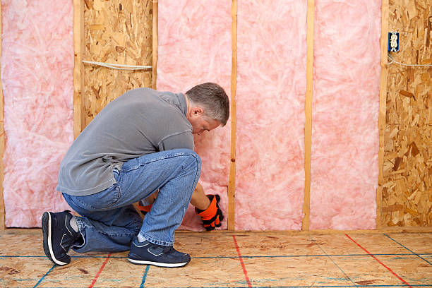 Best Residential Insulation in Atascocita, TX